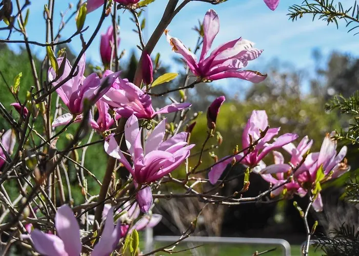 Cosy Forest Hideout @ Veluwe 別荘