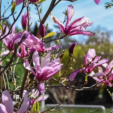 Cosy Forest Hideout @ Veluwe 펜션